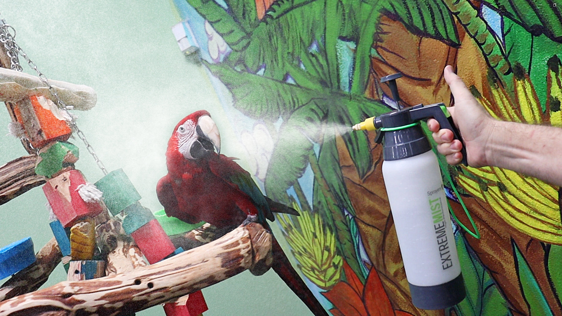 Stunning Parrot Habitat With Misting And Fogging image