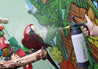 bird mister pump-up sprayer spraying mist on red parrot
