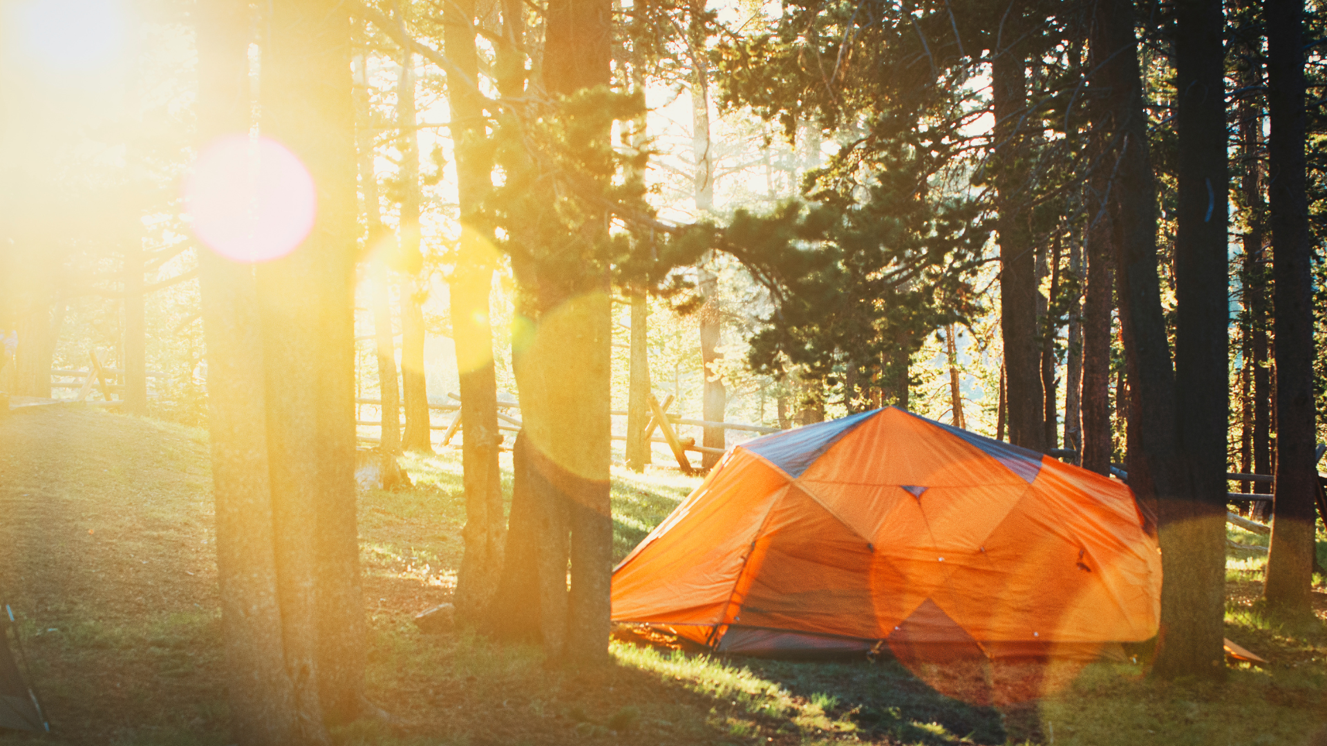 Unveiling the Best Camping Destinations in the United States