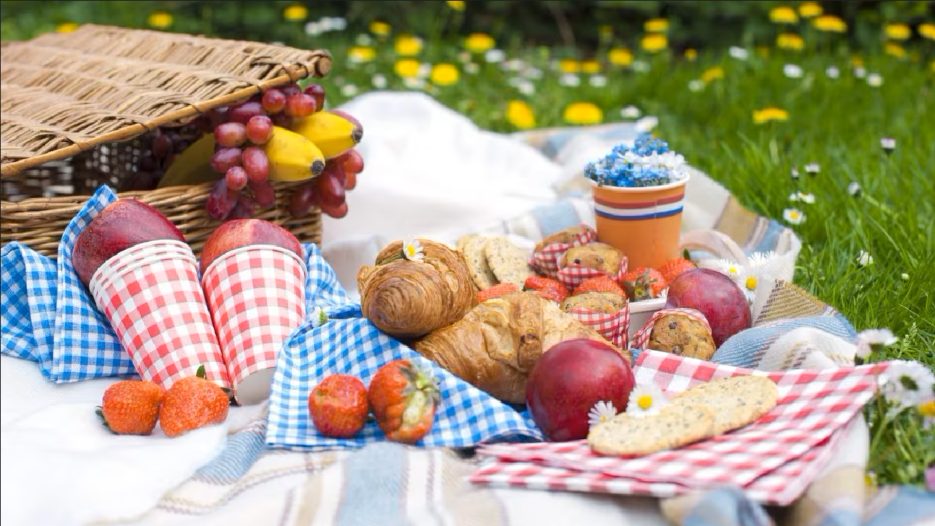 Picnic in the Park: Relaxing and Bonding with Loved Ones