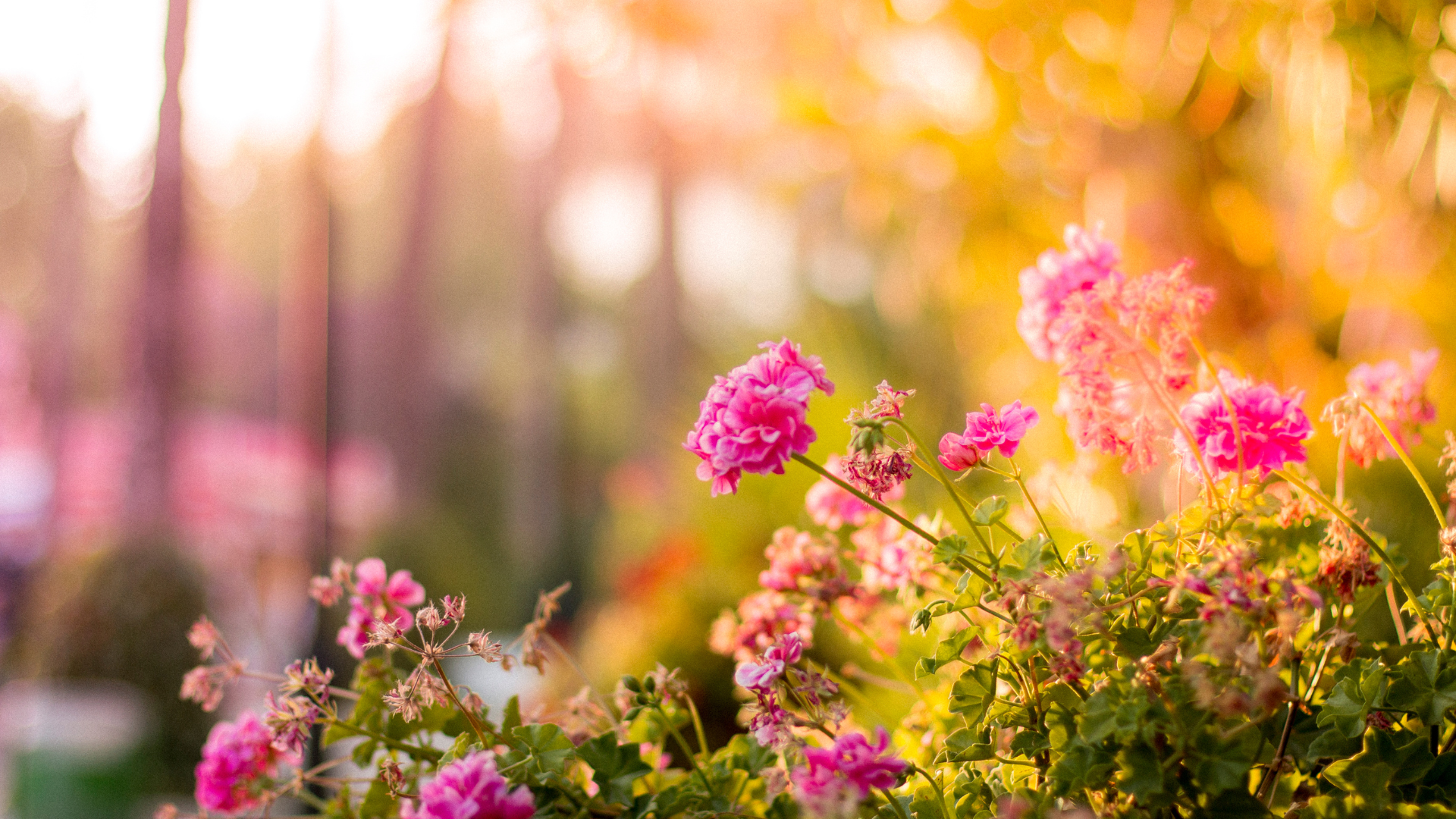 Cultivate Beauty: Unveiling Gardening and Landscaping Secrets for Your Outdoor Oasis