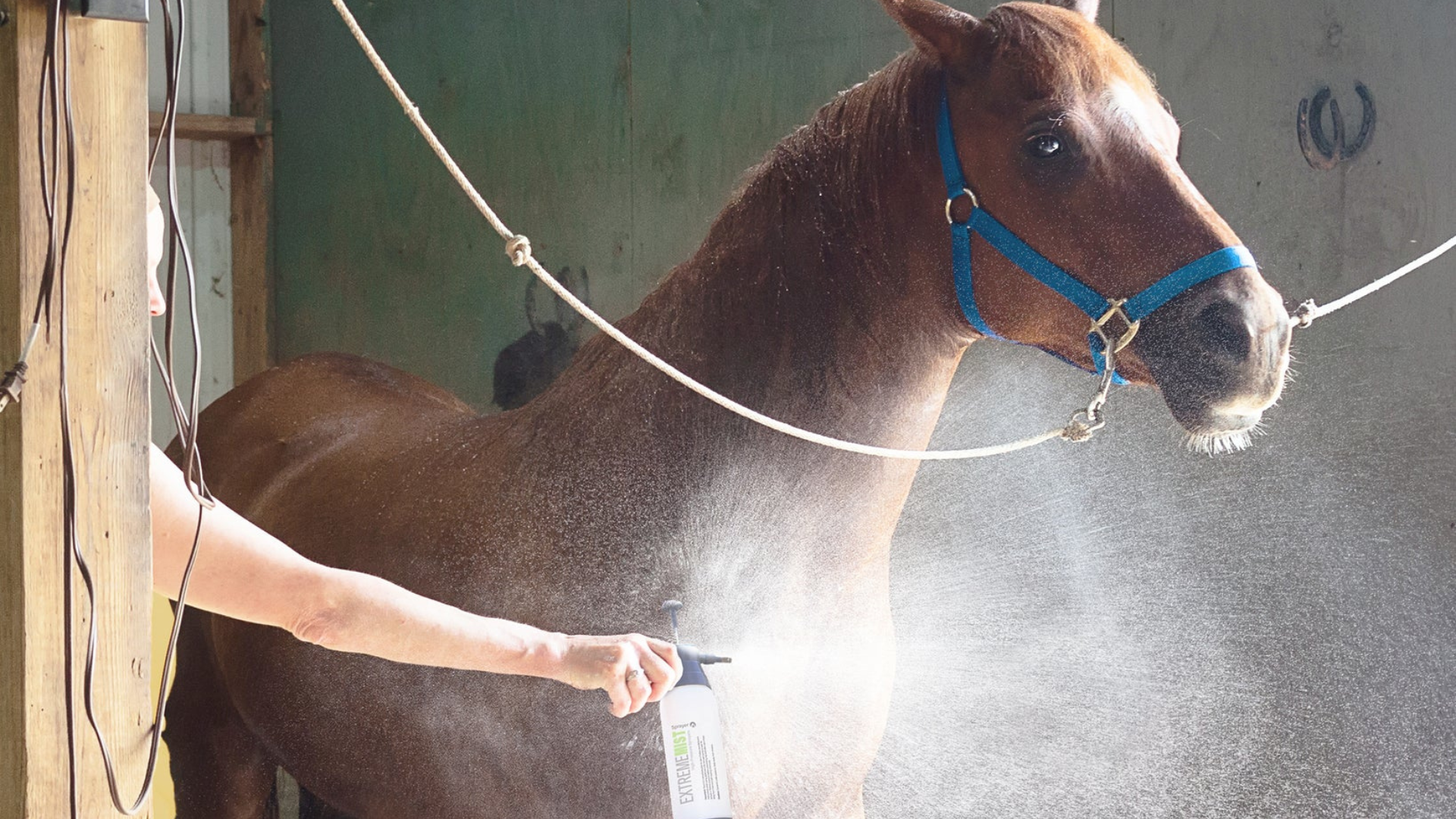 Ensuring the Well-Being of Your Equine Friend: The Benefits of Misting for Comfort and Health