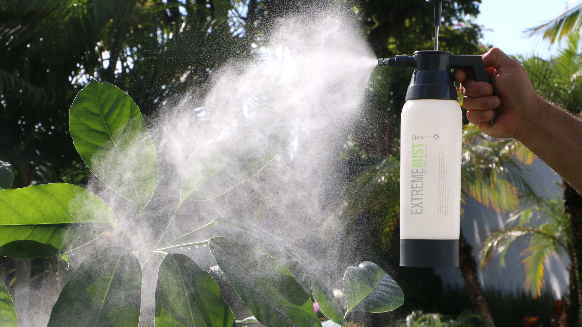 Unleashing the Magic: Creative Ways to Use Your Mist Sprayers