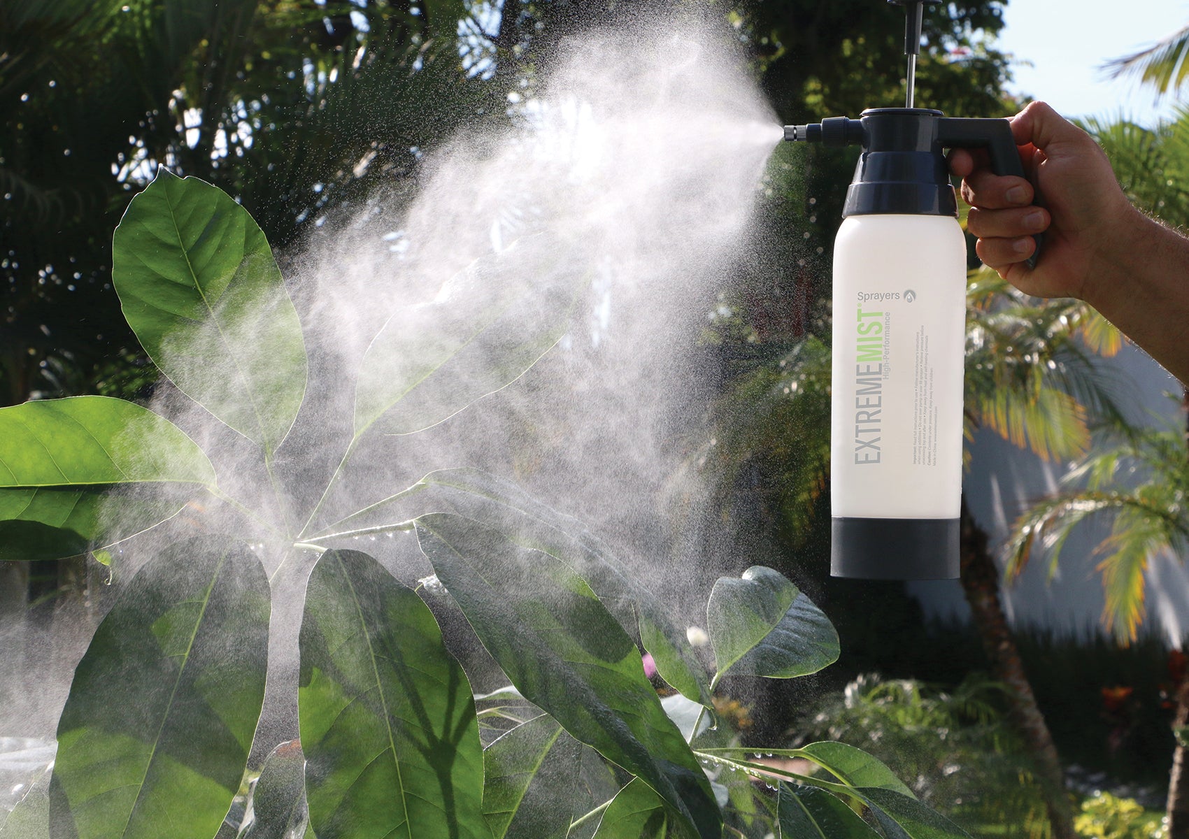 Nurturing Your Leafy Companions