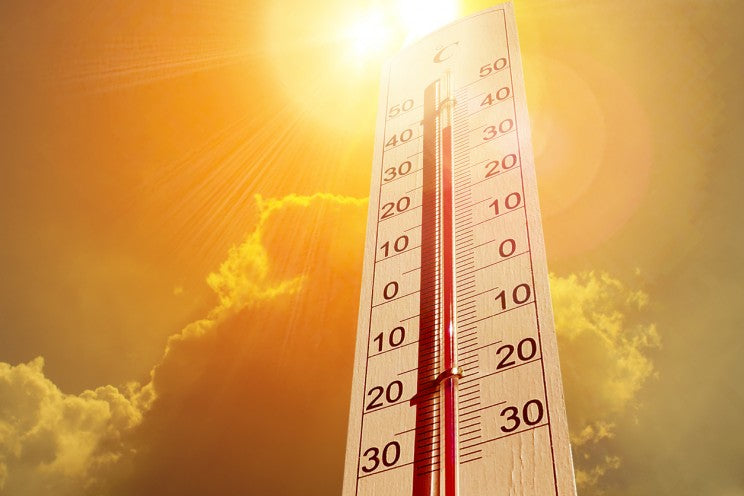 How Extreme Heat Overwhelms Your Body and Becomes Deadly