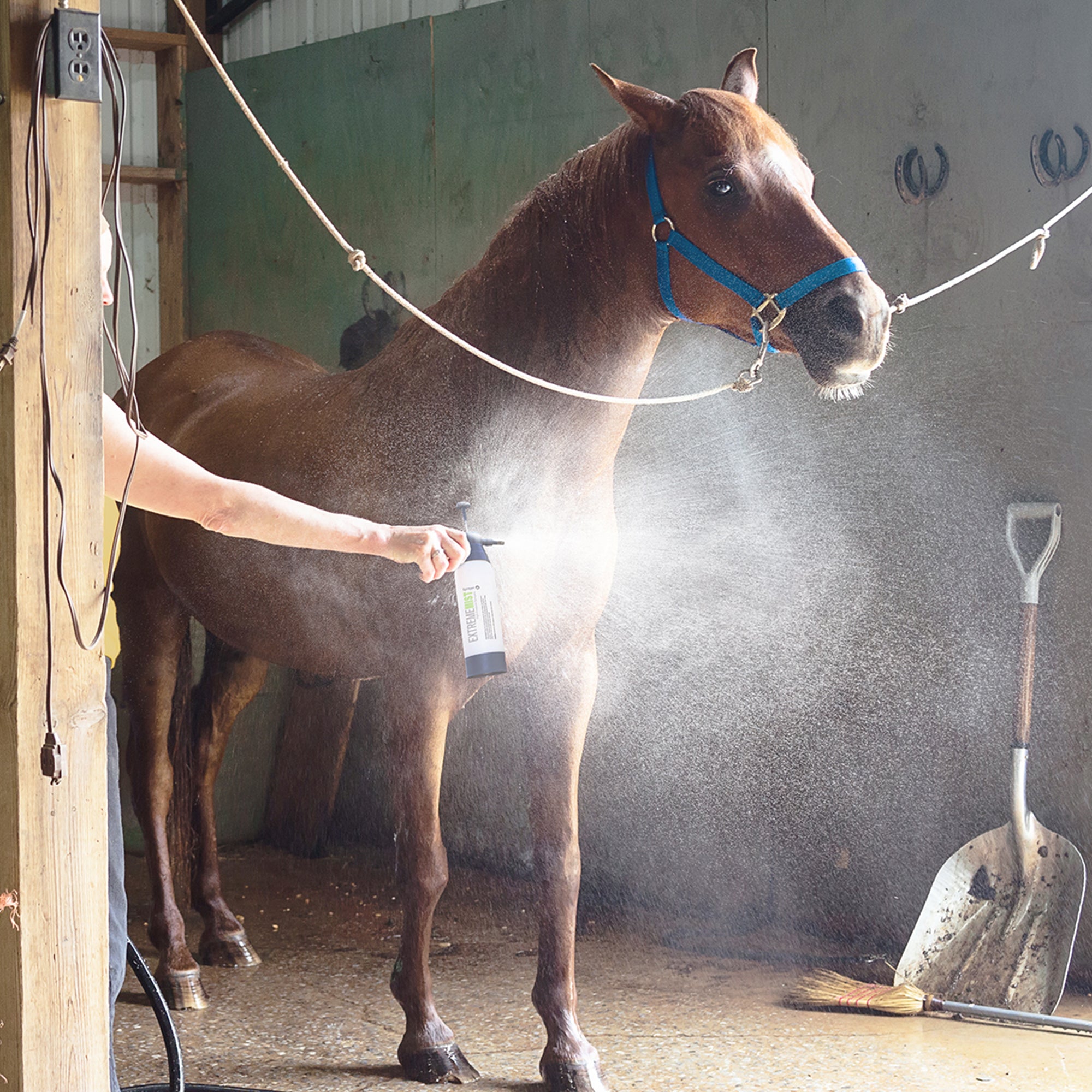 horse mister pump-up sprayer mist cooling horse