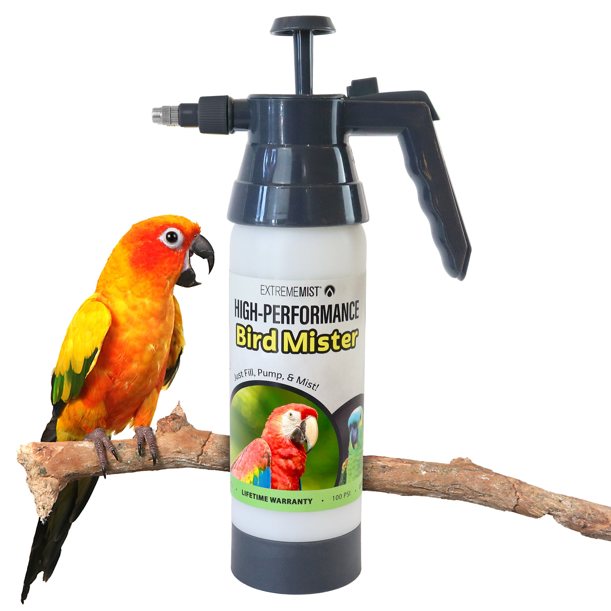 HP-Mister-Bird-Hack.jpg