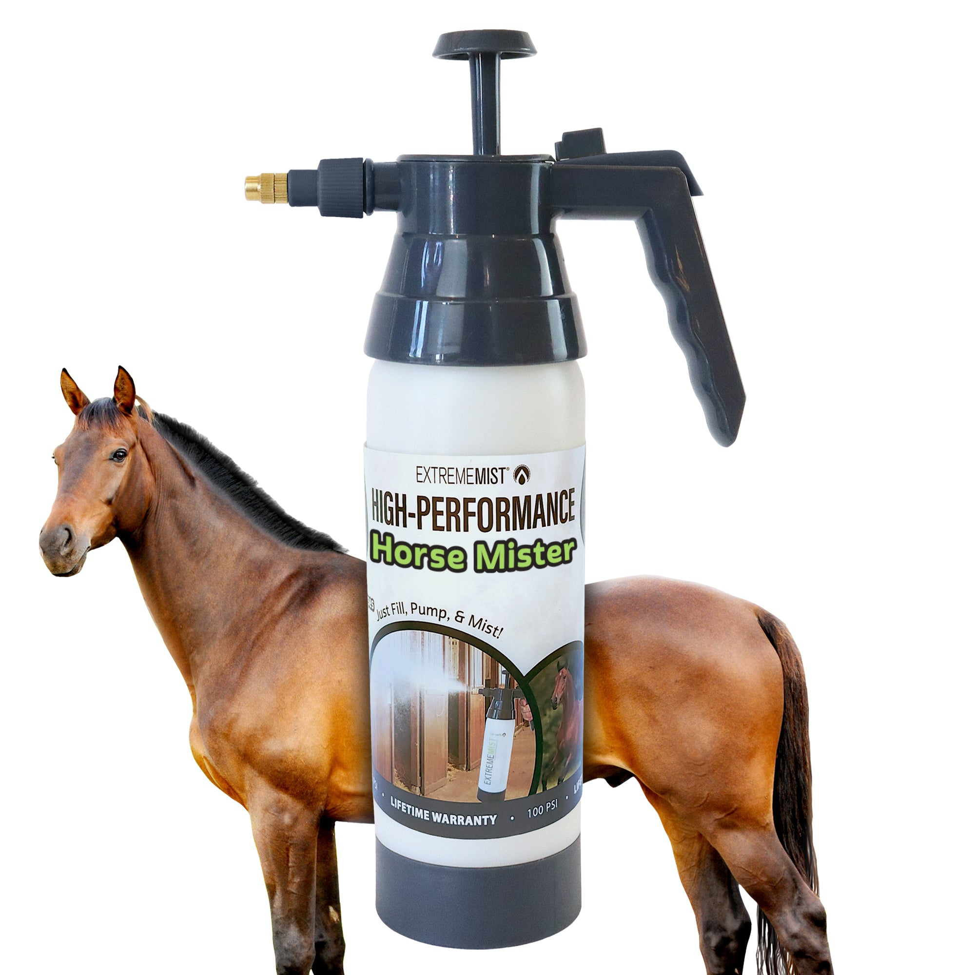 HP-Mister-Equine-Hack.jpg