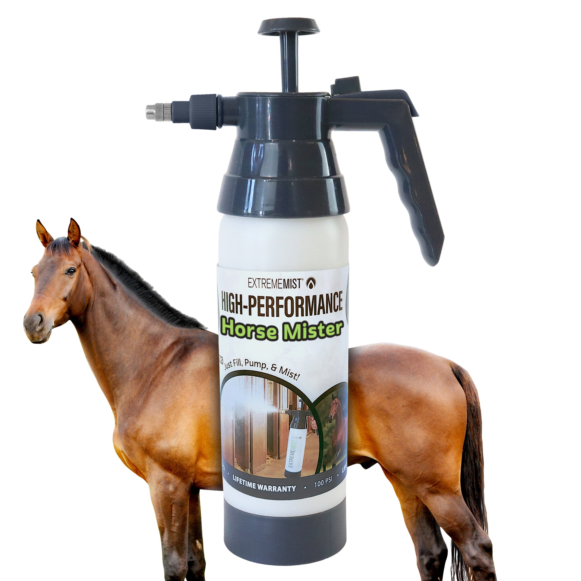 HP-Mister-Equine-Hack_e101b08c-b297-4f21-8d18-21a101b2a81a.jpg