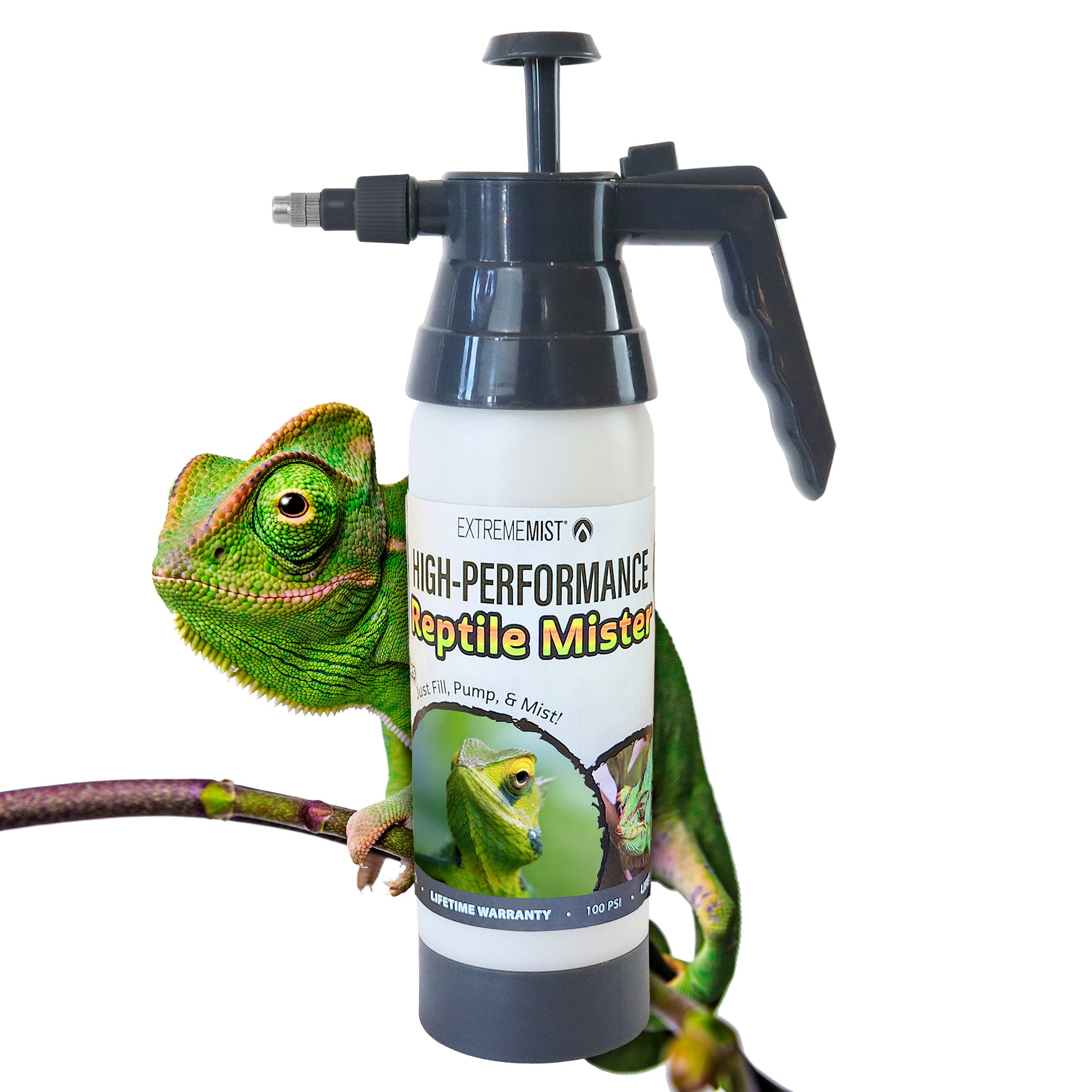 HP-Mister-Reptile-Hack.jpg