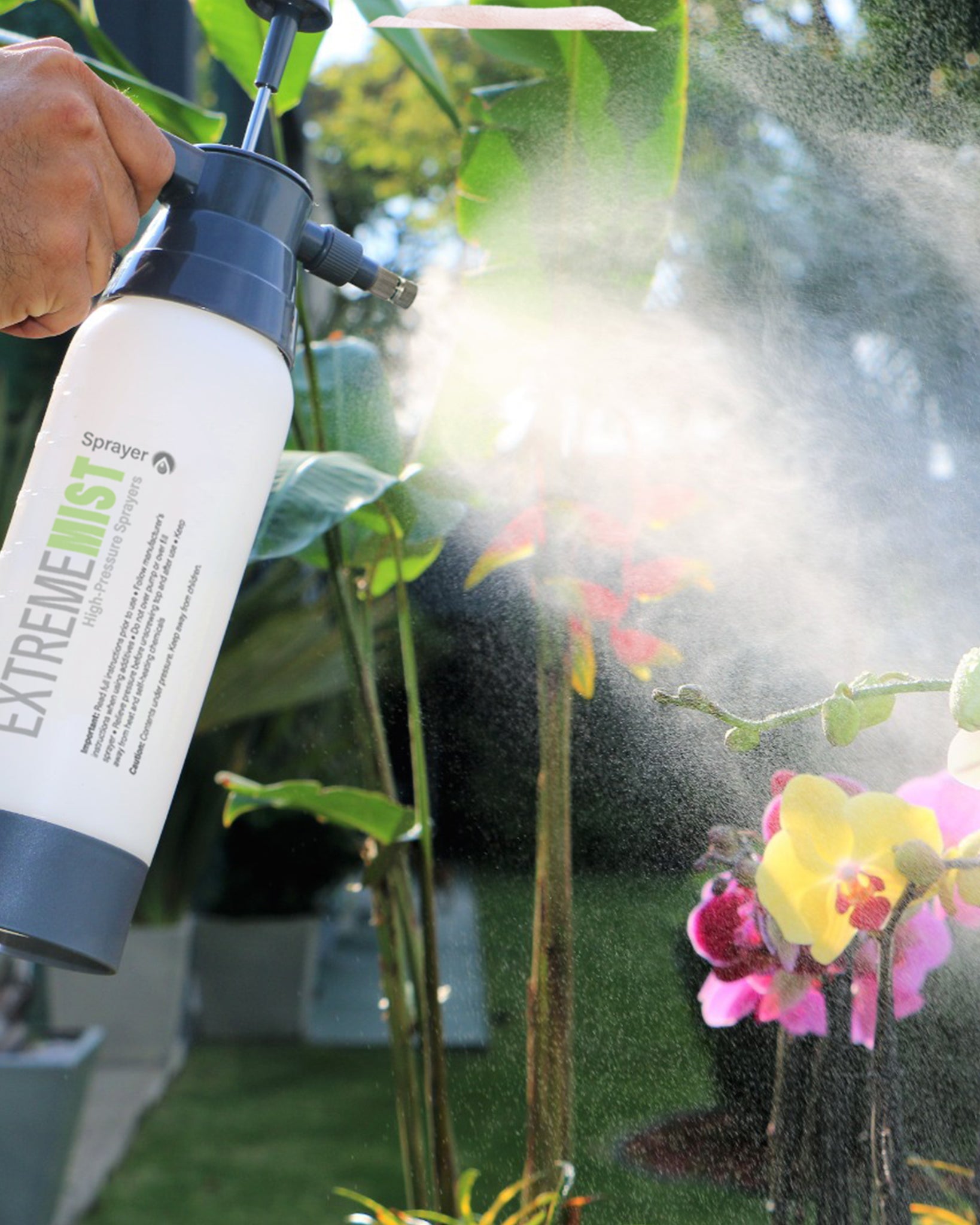 plant mister pump-up sprayer spraying mist at flowers