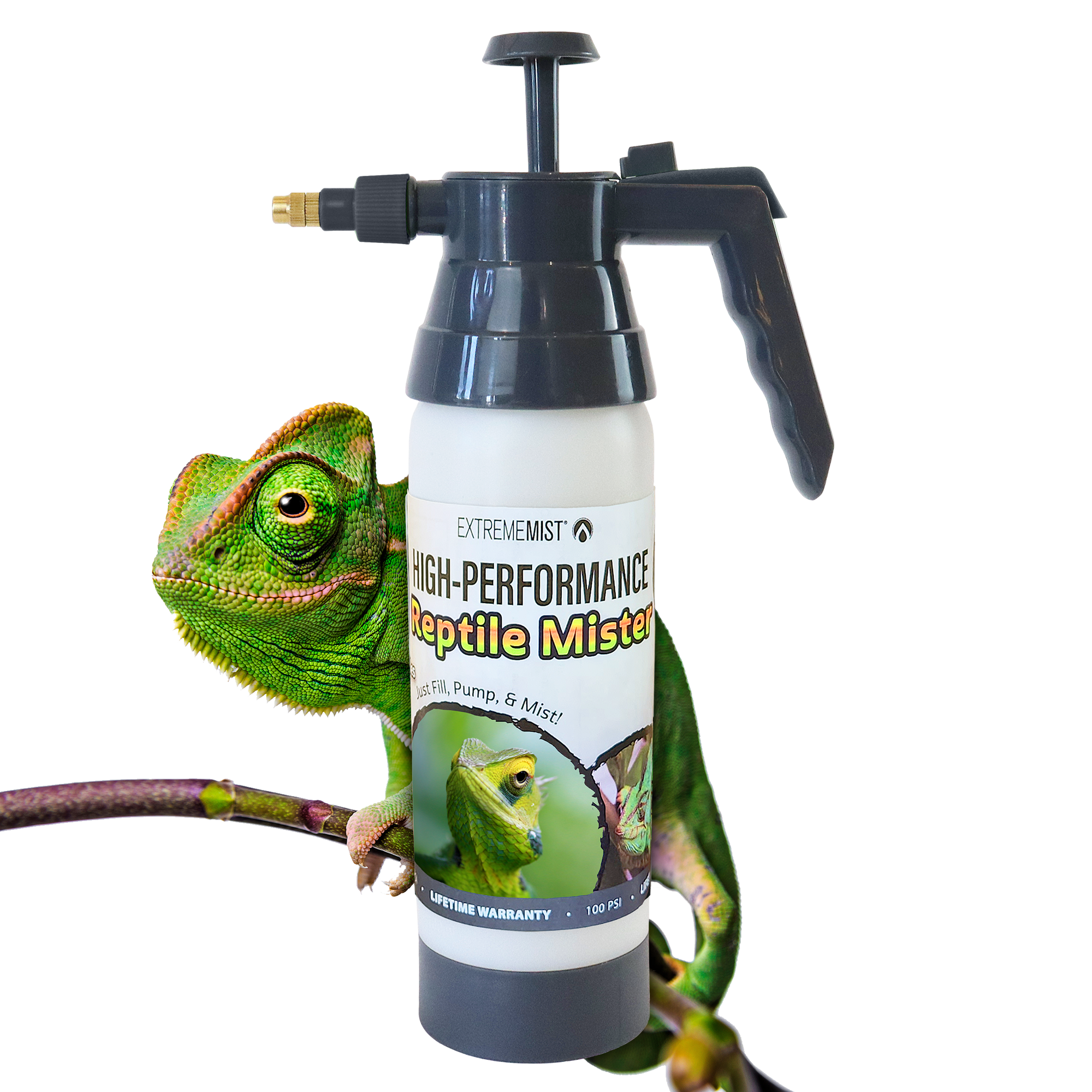 Reptile-Mister-Hack-gray.png