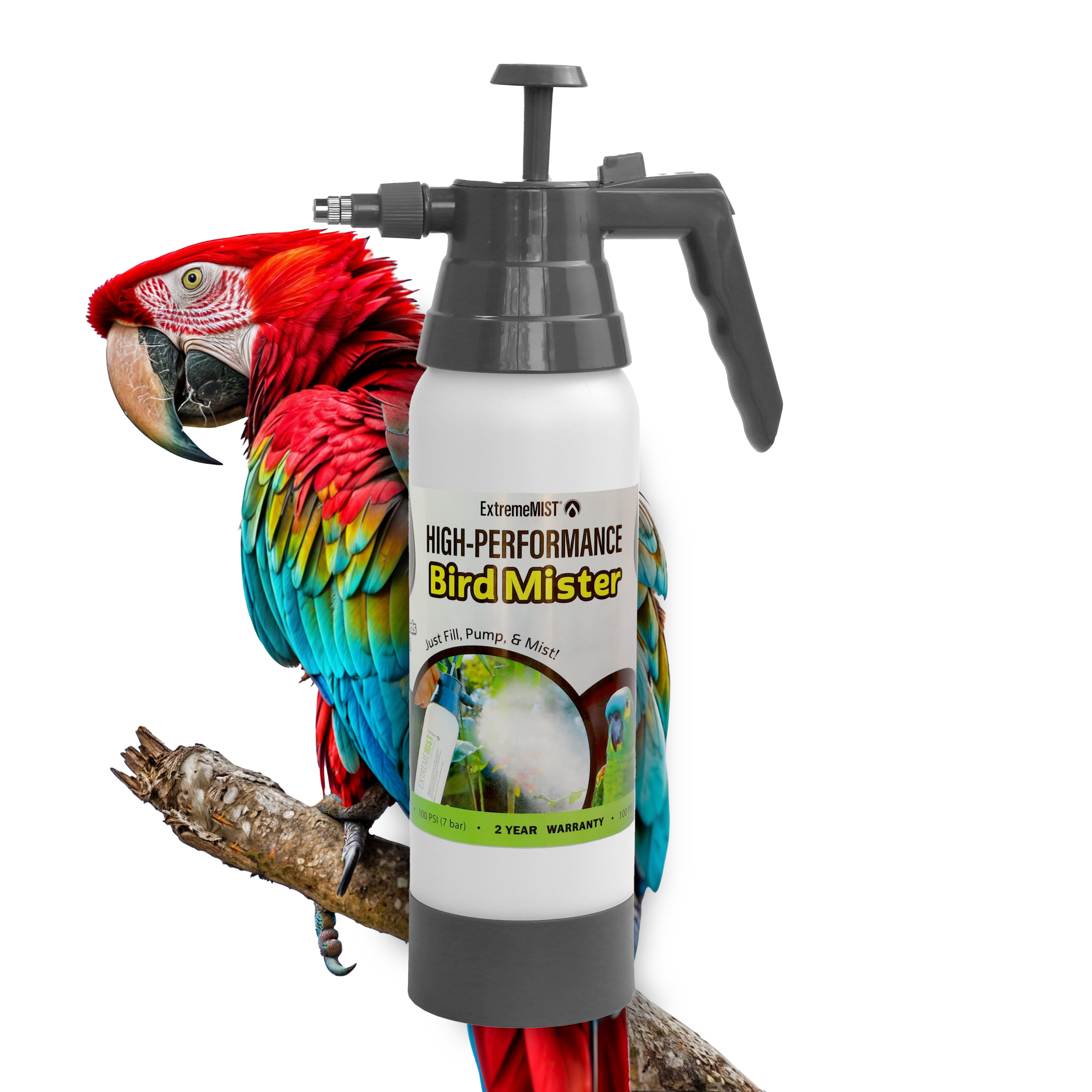 cover-Updated-Bird-Hack.jpg
