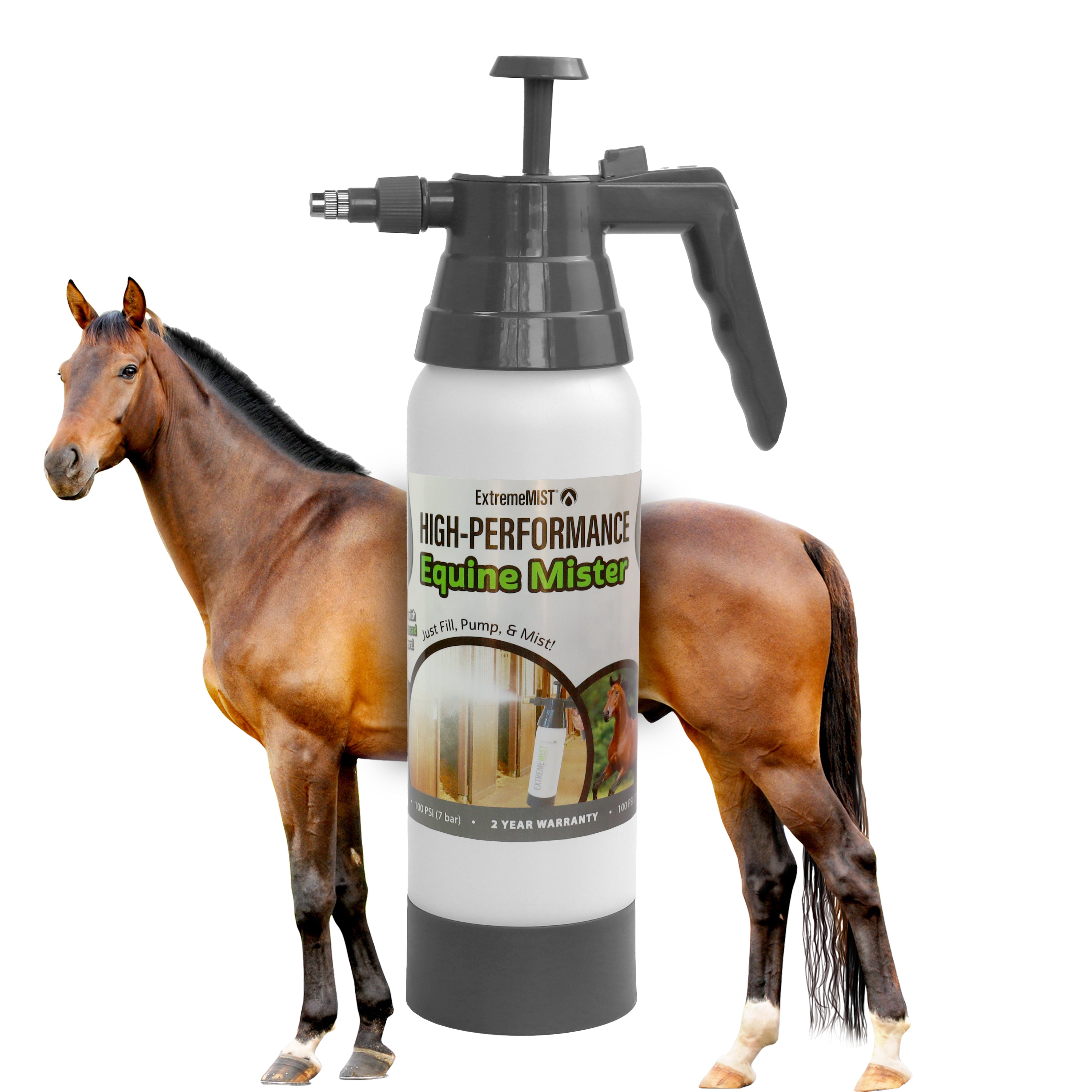 cover-Updated-Horse-Hack.jpg