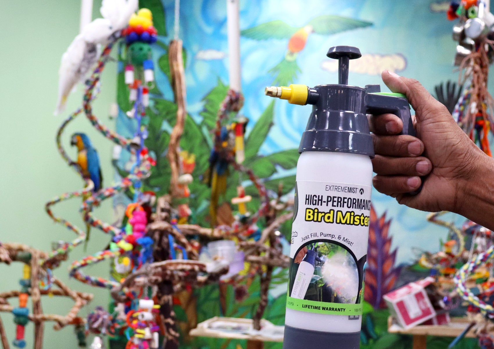 bird mister pump-up sprayer pointed at white cockatoo