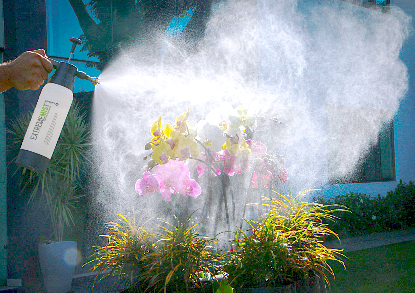 high-performance plant mister spraying flowers