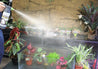 reptile mister spraying mist on plants inside reptile enclosure